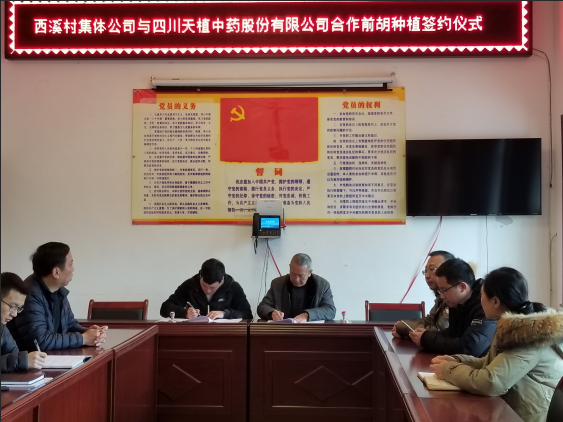 四川天植中藥公司與西溪村、桂花鎮舉行種植扶貧項目簽約儀式